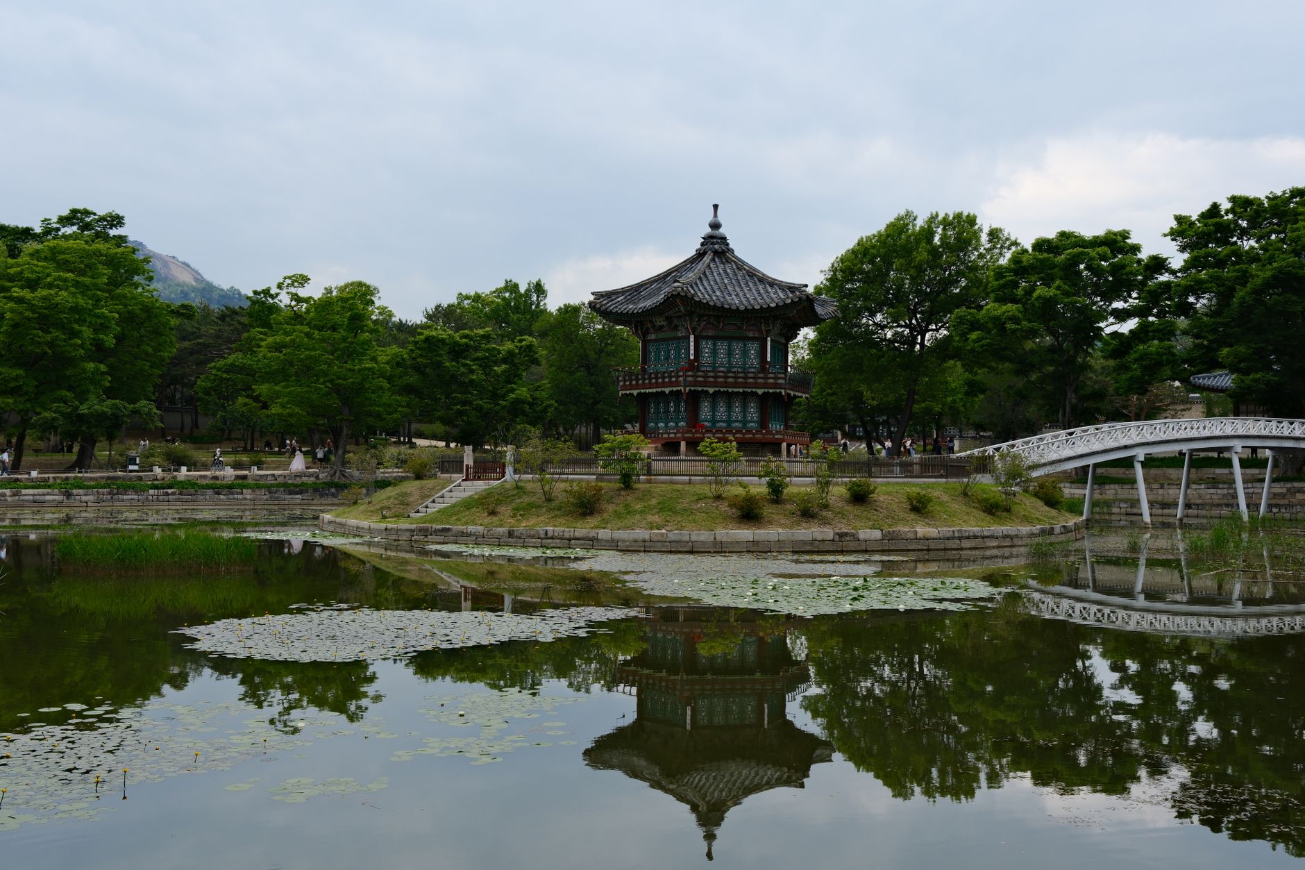 전통 등불이 환하게 밝혀진 한국의 전통 야시장 풍경