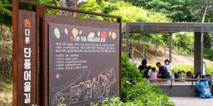 9월 숲길에서 자연을 관찰하는 아이의 모습