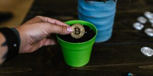 재테크 성장을 상징하는 동전 식물과 목돈 관리 이미지