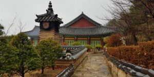 11월 단풍이 절정에 이른 경주 불국사의 전경