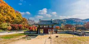 11월 경주 불국사의 붉게 물든 단풍과 고즈넉한 사찰 풍경