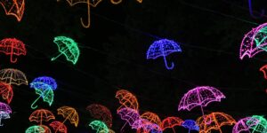 11월 가평 아침고요수목원 오색별빛정원전의 화려한 야경