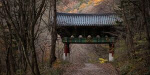 곤지암 화담숲의 늦가을 단풍이 가득한 산책로 풍경